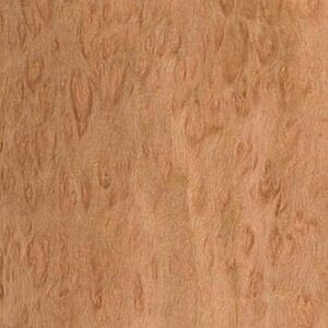 Eucalyptus Finishing