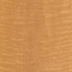 Alder-European