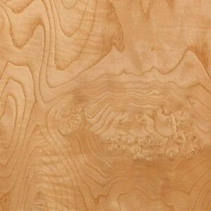Ash White Burl