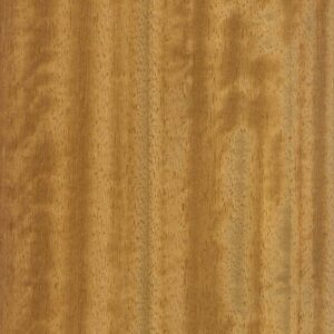 Iroko